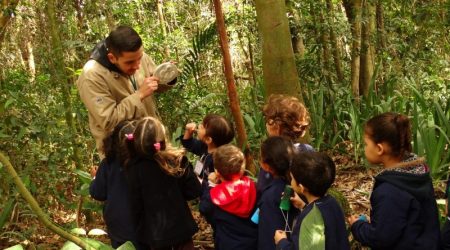 Programação especial para o Dia das Crianças nos parques de SP