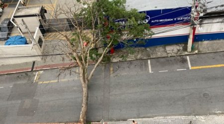 Queda de árvore deixa moradores e comerciantes sem energia no Jardim São Dimas