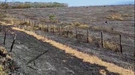 Queimada destrói área de 12 campos de futebol às margens da Estrada Velha