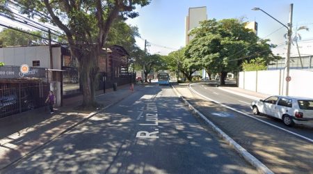 Rua Luiz Jacinto será interditada para supressão de árvore