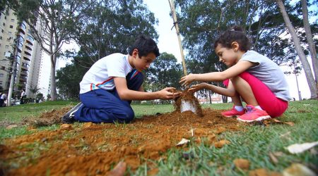 São José dos Campos será sede do 4º Fórum Latino-americano de Florestas Urbanas em 2024