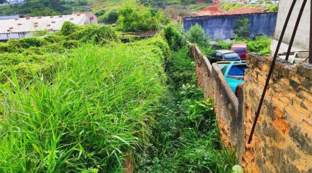 Terreno com mato alto em São José dos Campos é limpo após decisão judicial