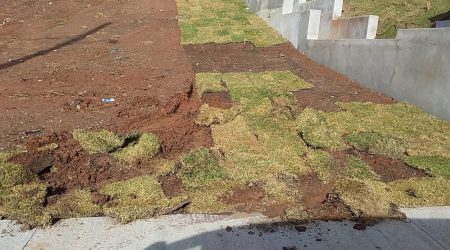 Dez metros quadrados de grama usada em obra da prefeitura são furtados em São José