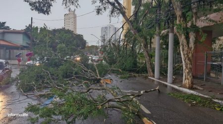 Chuva forte causa estragos em São José dos Campos