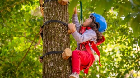 Parque Vicentina oferece atividades gratuitas nestas férias