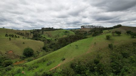 Projeto do Governo de São Paulo promove restauração de hectares na RM Vale do Paraíba