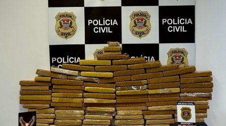 Polícia Civil apreende mais de 81 kg de maconha em operação contra tráfico de drogas em São José