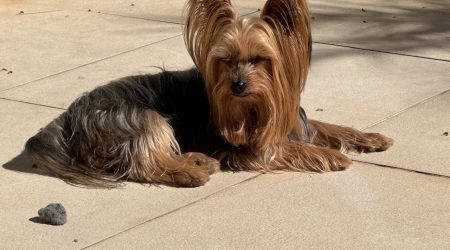 WhatsApp Image 2026-01-29 at 21.01.59