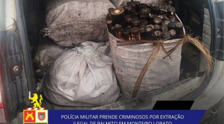 Cerca de 500 quilos de palmito foram encontrados em veículo abordado pela PM em Monteiro Lobato.