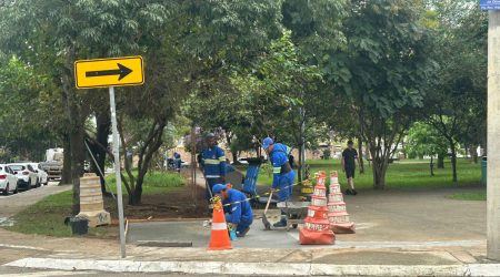 WhatsApp Image 2026-03-10 at 08.55.08