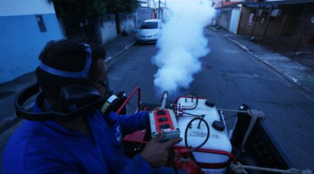 São José dos Campos reforça medidas contra pernilongos e mosquitos