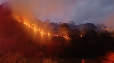 Incêndio de grandes proporções atinge morro em Caraguatatuba e mobiliza bombeiros