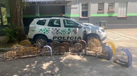 Polícia Ambiental apreende 35 aves silvestres no Campo dos Alemães e aplica multa de R$ 22 mil