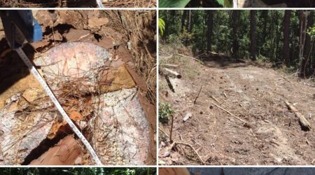 Supressão de 66 árvores leva à autuação e multa de R$ 32,5 mil em área rural de Cunha