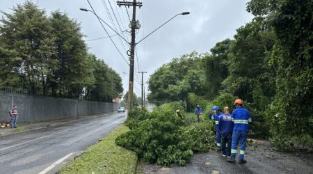 Foto: Revista Urbanova