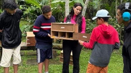 120 aves silvestres reabilitadas voltam a voar livres pelo céu de Caraguatatuba