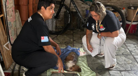 Cão vítima de maus-tratos é resgatado em Ubatuba após denúncia e levado para atendimento veterinário