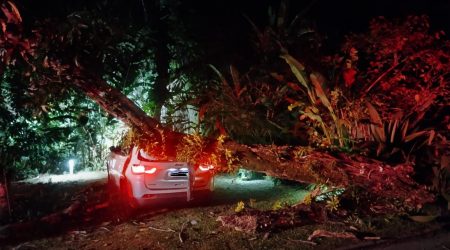 Queda de árvore atinge veículo em São Sebastião e mobiliza Bombeiros no bairro Baleia