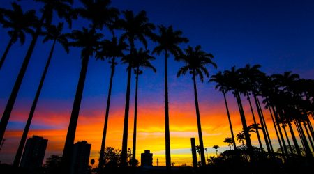 Futuro do Parque da Cidade e eventual concessão serão decididos em seminário