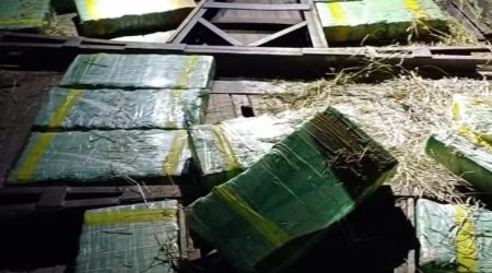 PRF apreende 415 kg de maconha escondidos sob carga de feno na Via Dutra