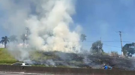 Fogo em vegetação é controlado às margens da Via Dutra, em Caçapava