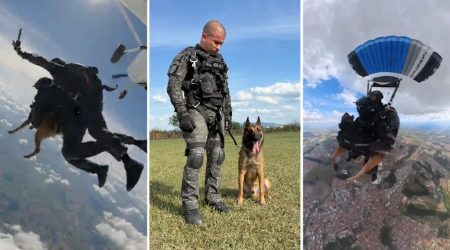 Missão canina nas alturas, cão paraquedista realiza salto inédito em São Paulo!
