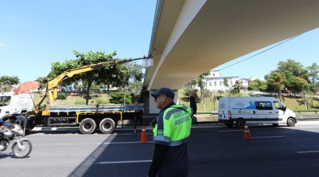 Foto: Claudio Vieira/PMSJC