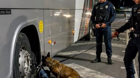 Pastora belga, Kona fareja drogas em mochila e traficante é preso na Tamoios!