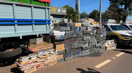 PM Rodoviária de SP apreende mais de 111 toneladas de drogas em 2025