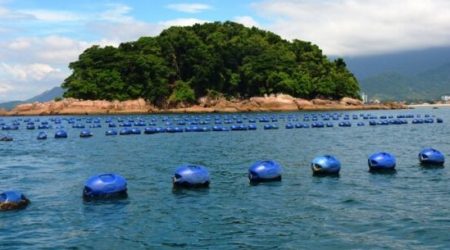 Maricultura desenvolvida na praia da Cocanha, em Caraguá; local é pioneiro na prática no Estado