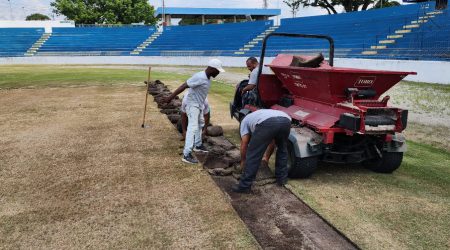 Sob administração da SAF, gramado do Martins Pereira passa por revitalização
