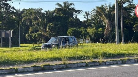 Mato alto na Rio-Santos leva prefeitura de Caraguá a notificar DER