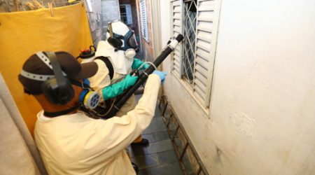 Nebulização contra mosquito da dengue ganha novo horário em São José