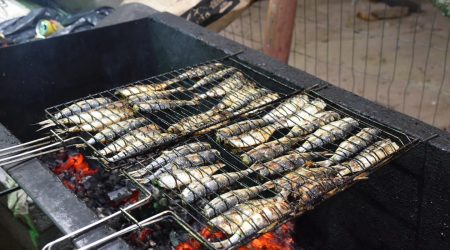 Festival da Sardinha: Gastronomia caiçara, shows e tradição em Ilhabela
