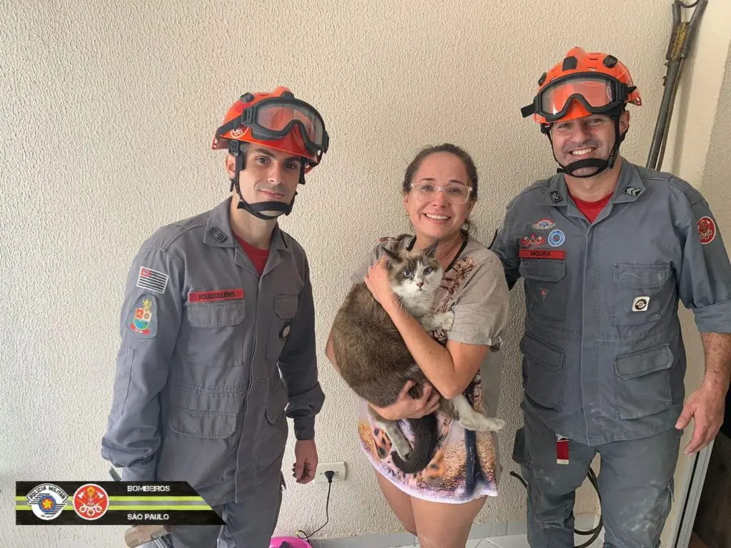 Gato é resgatado pelos Bombeiros em tubulação de churrasqueira no 13º andar
