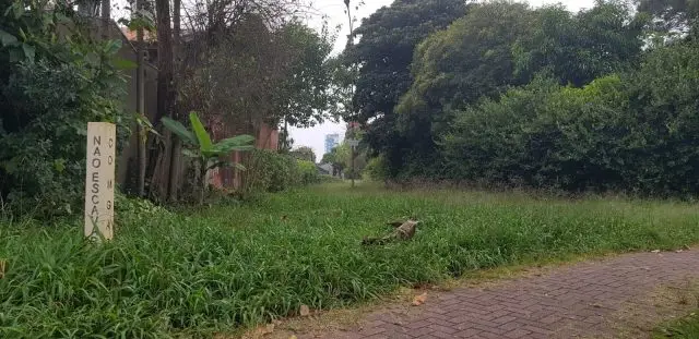 Area Verde
