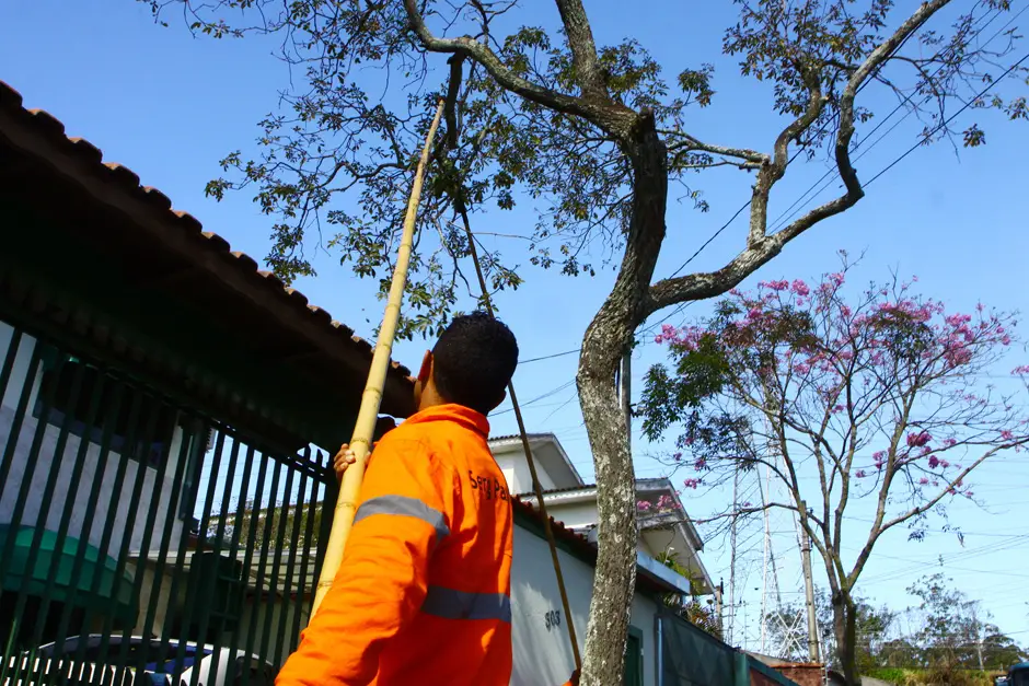 Centro Life Euclides Miragaia será interditada nesta quinta-feira para supressão e poda de árvores. Energia será cortada!