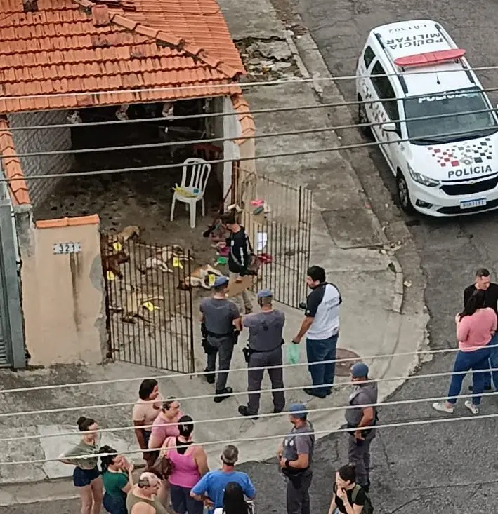 Polícia investiga a morte misteriosa de cinco cachorros na Vila Tatetuba