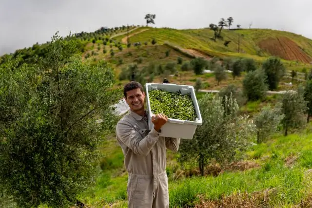 Vinícola da Serra da Mantiqueira é a mais premiada do Brasil