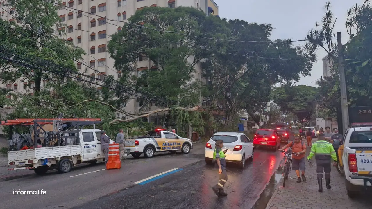 Defesa Civil apresenta Plano Preventivo de Chuvas 2024-2025