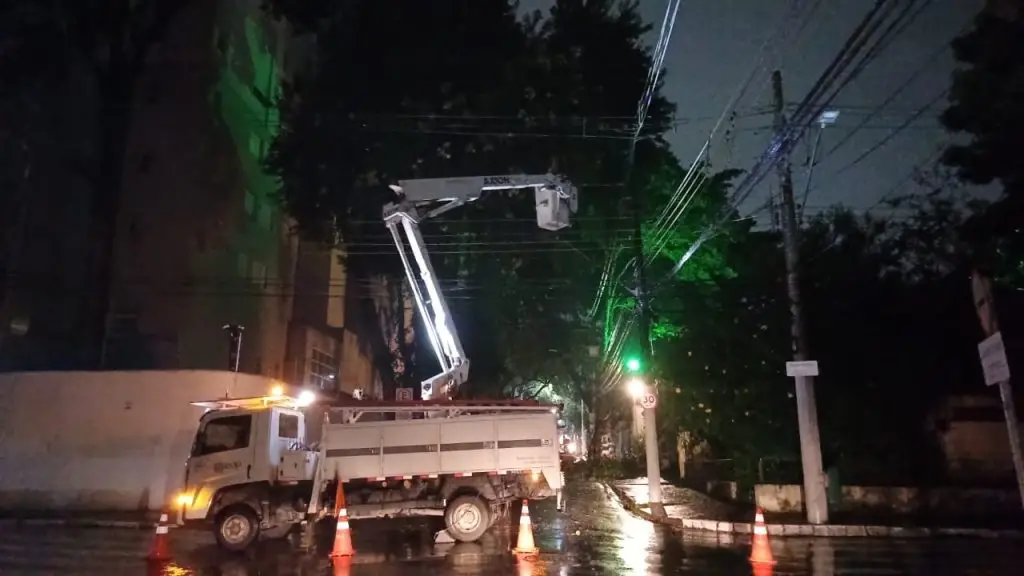 Árvore cai e interdita rua Santa Clara, na Vila Adyana