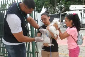 Jacareí promove vacinação antirrábica gratuita para pets neste sábado