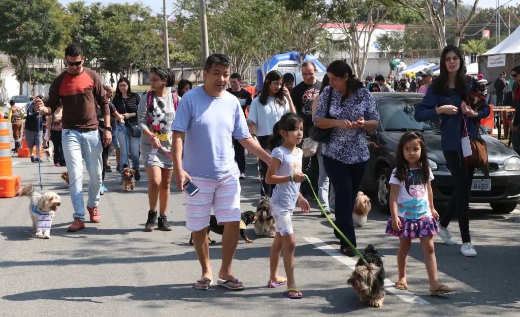 Cãominhada é atração gratuita no domingo em Jacareí