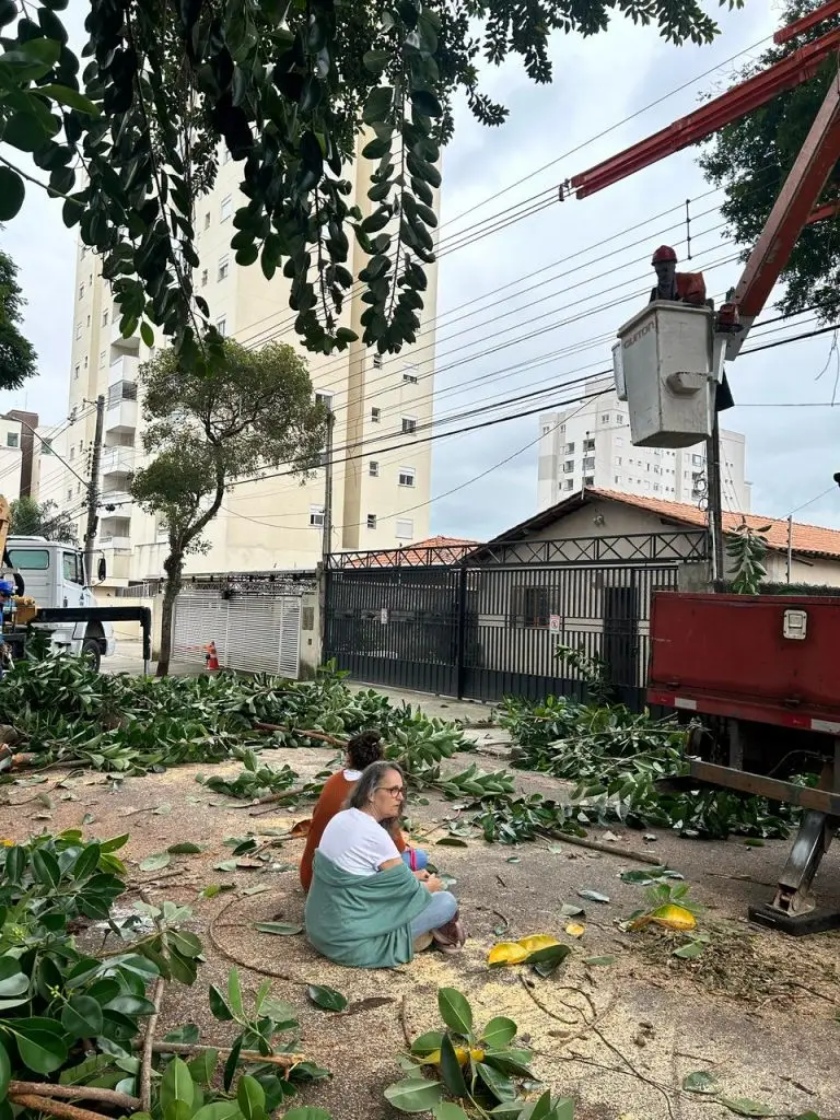 Supressão de árvore gera discussão entre ambientalistas e funcionários da prefeitura em São José dos Campos
