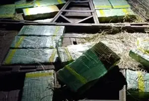PRF apreende 415 kg de maconha escondidos sob carga de feno na Via Dutra