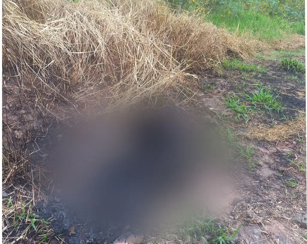 Corpo carbonizado é encontrado na zona leste de São José