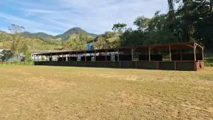 Festa do Tropeiro anima São Francisco Xavier neste final de semana!
