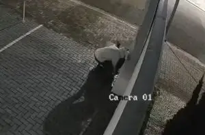 Em 10 segundos, criminoso furta hidrômetro no Jardim Apolo II