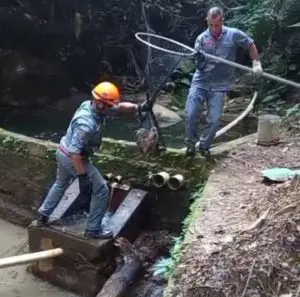 Família de capivaras é resgatada por bombeiros após cair em reservatório em Ubatuba