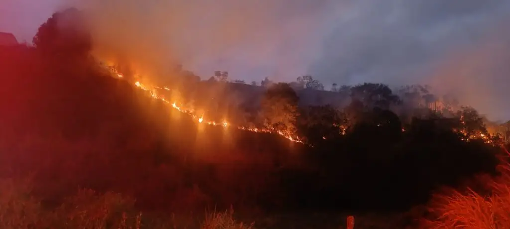 Incêndio de grandes proporções atinge morro em Caraguatatuba e mobiliza bombeiros